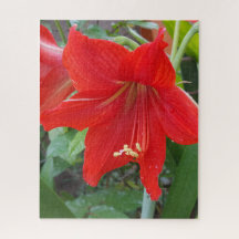 Red Lilly Blume Puzzle