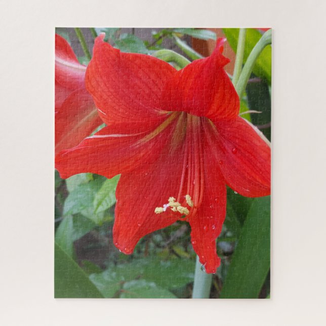 Red Lilly Blume Puzzle (Vertikal)