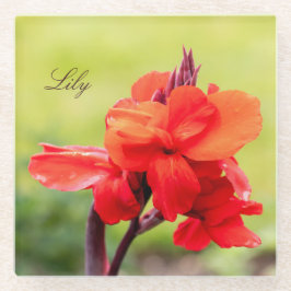 Red Lily Individuelle Name Glasuntersetzer