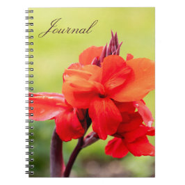 Red Lily Notebook Notizblock