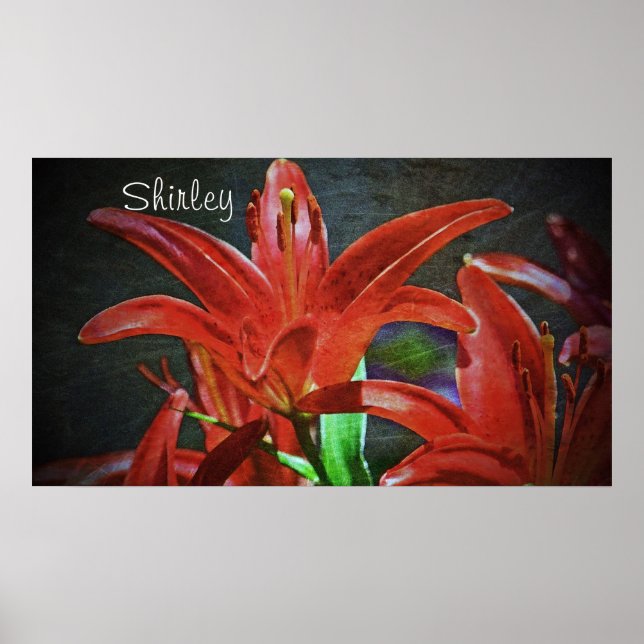 Red Lily Textured by Shirley Taylor Poster (Vorne)