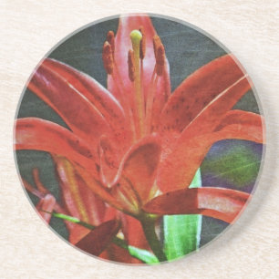 Red Lily Textured by Shirley Taylor Untersetzer