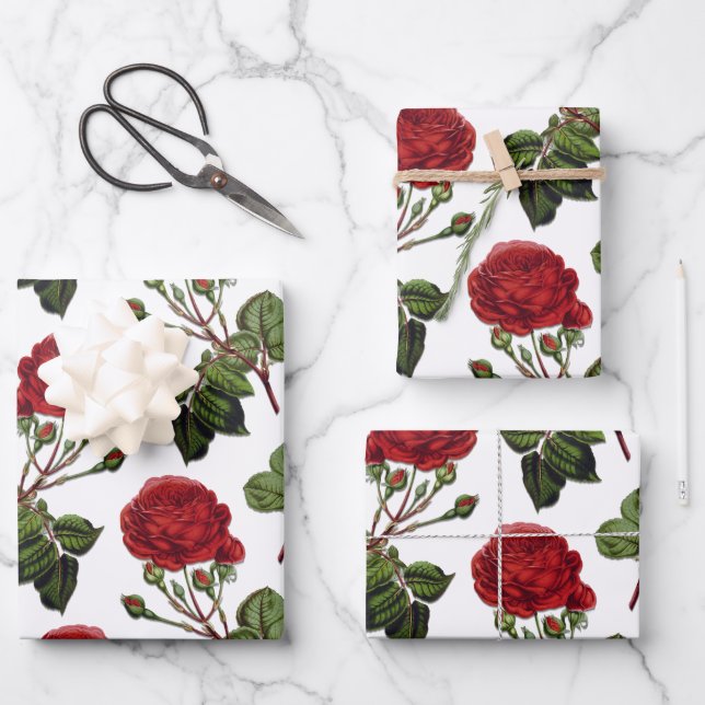 Red Long Steam Rose Muster Geschenkpapier Set (Vorderseite)