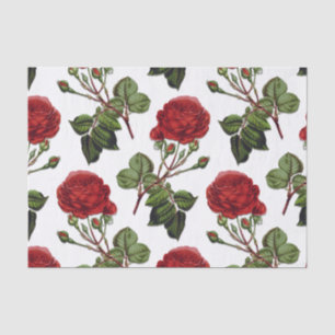 Red Long Steam Rose Muster Seidenpapier