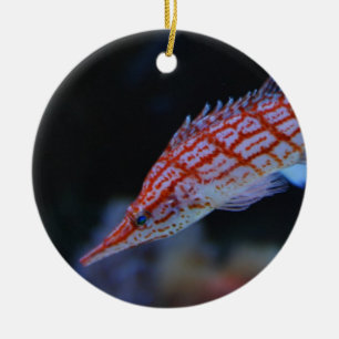 Red Longnose Hawkfish Keramikornament