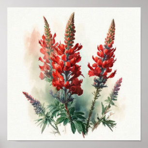 Red Lupine Blume Art Print Poster