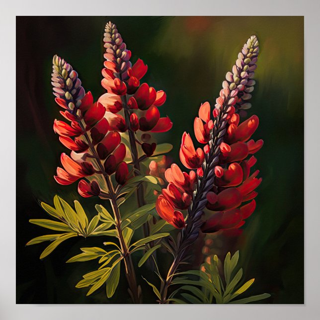 Red Lupine Blume Art Print Poster (Vorne)