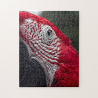 Red Macaw - HD-Foto-Puzzle