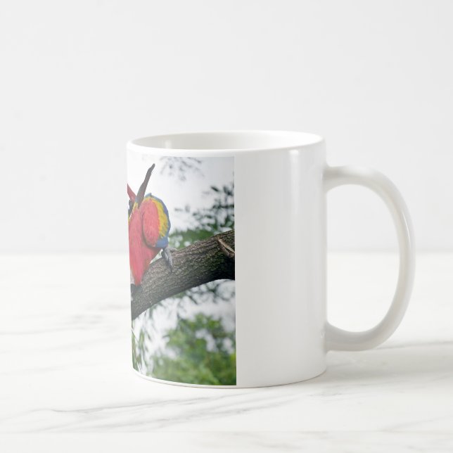Red Macaws 2.JPG Kaffeetasse (Rechts)