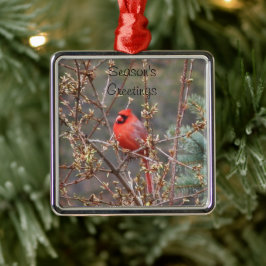 Red Male Kardinal Saison Grüße Ornament Aus Metall