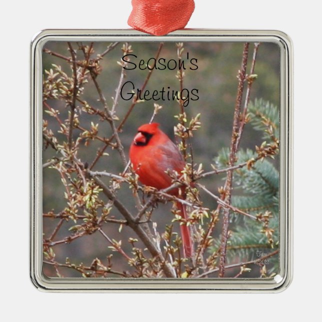 Red Male Kardinal Saison Grüße Ornament Aus Metall (Vorne)