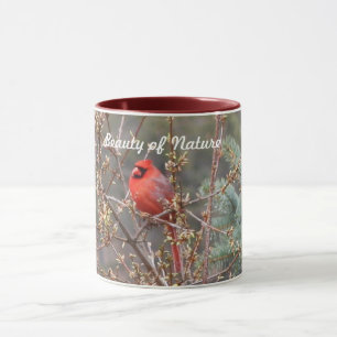 Red Male Kardinal Tasse