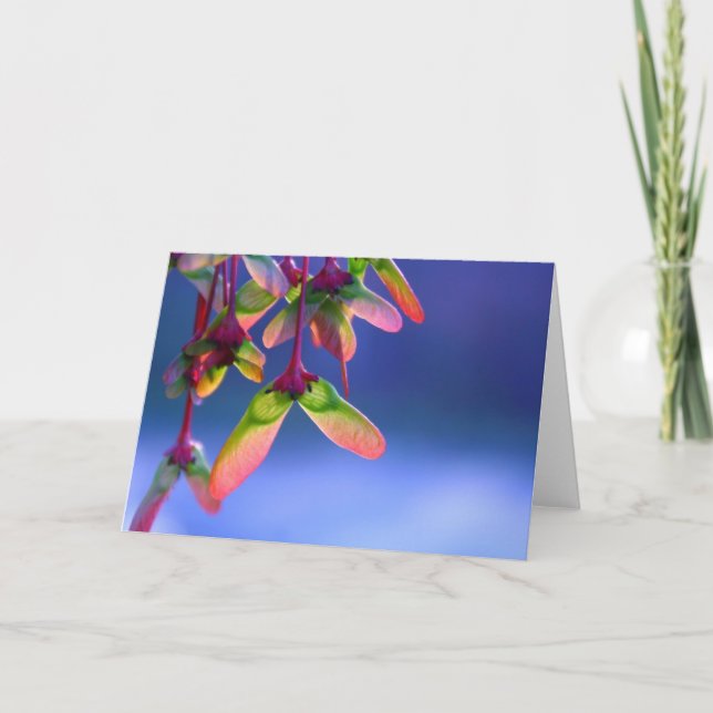 Red Maple Helicopters Blank Note Card Karte (Vorderseite)