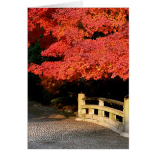 Red Maple tree et le pont japonais
