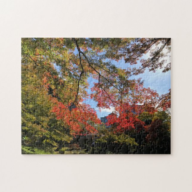Red Maples im japanischen Garten (Horizontal)