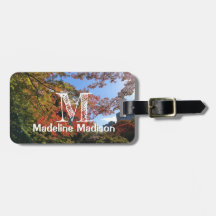 Red Maples im japanischen Garten