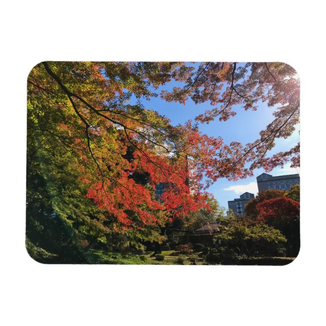 Red Maples im japanischen Garten Magnet (Horizontal)