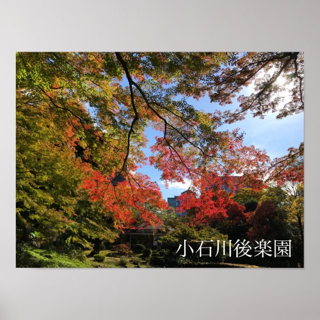 Red Maples im japanischen Garten Poster (Vorne)