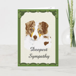 Red Merle Aussie Sympathy cartes de voeux personna