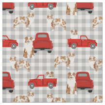 Red Merle Aussie und roter LKW