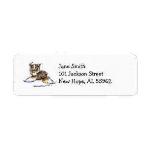 Red Merle Australian Shepherd Lasse Play