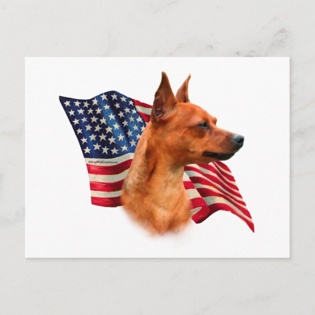 Red Miniature Pinscher American Flag; Min Button F Postkarte (Vorderseite)