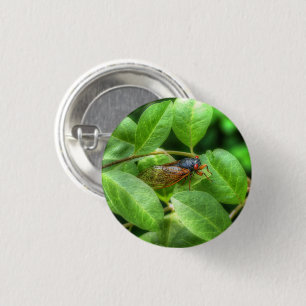 Red Mit Augen Cicada Button