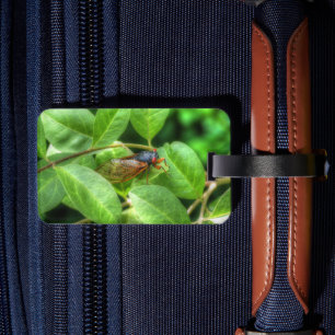 Red Mit Augen Cicada Gepäckanhänger