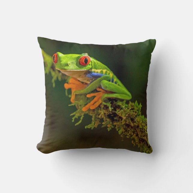 Red Mit Augen Tree Frog Foto Kissen (Vorderseite)