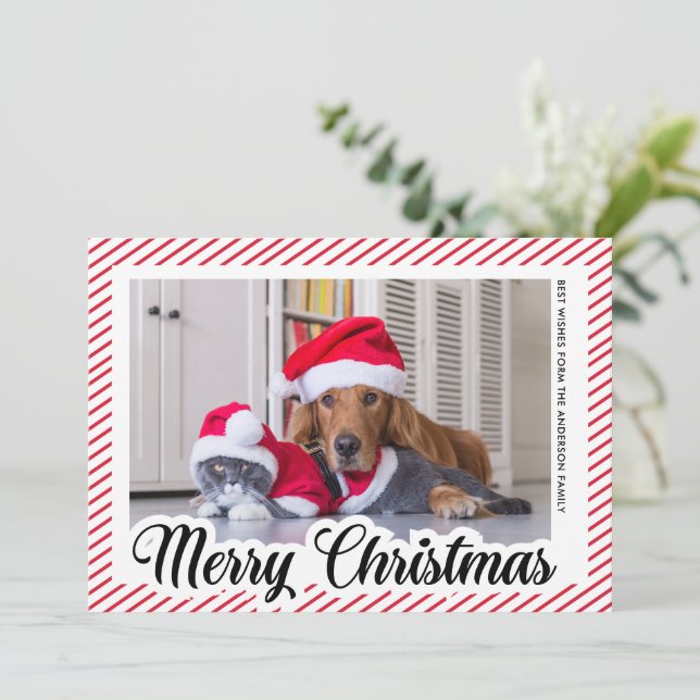Red Modern Calligraphy Pet Foto Frohe Weihnachten (Stehend Vorderseite)