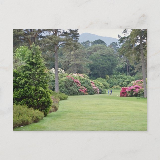 Red Muckross House Gardens, Irland Blume Postkarte (Vorderseite)