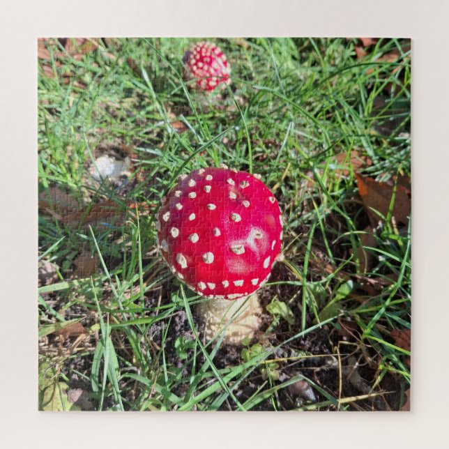 Red mushroom  (Vertikal)