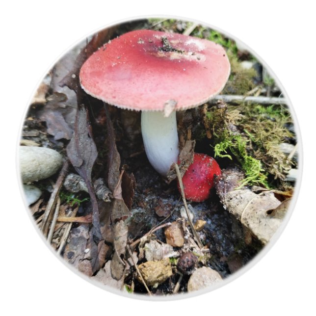 Red Mushroom Fairy Ceramic Knob Keramikknauf (Vorderseite)