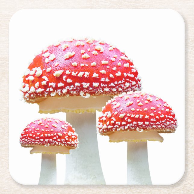 Red Mushroom Paper Untersetzer (Vorderseite)