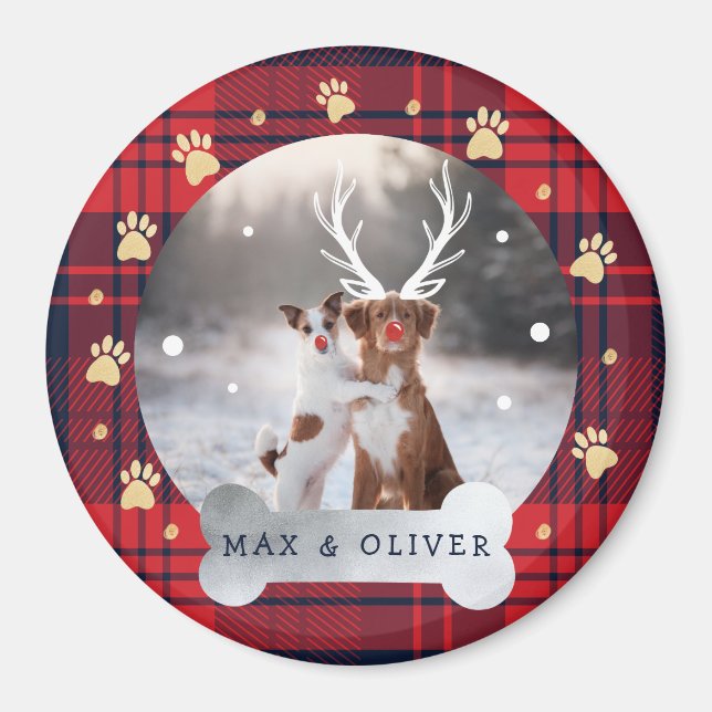 Red & Navy Blue Kariert & Gold Paw Print Pet Foto Magnet (Vorne)