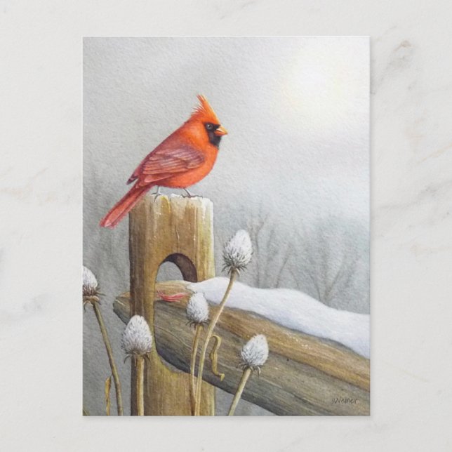 Red Northern Kardinal Bird auf dem Zaun Wasserfarb Postkarte (Vorderseite)