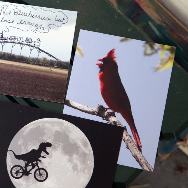 Red Northern Kardinal Bird Postkarte (Von Creator hochgeladen)