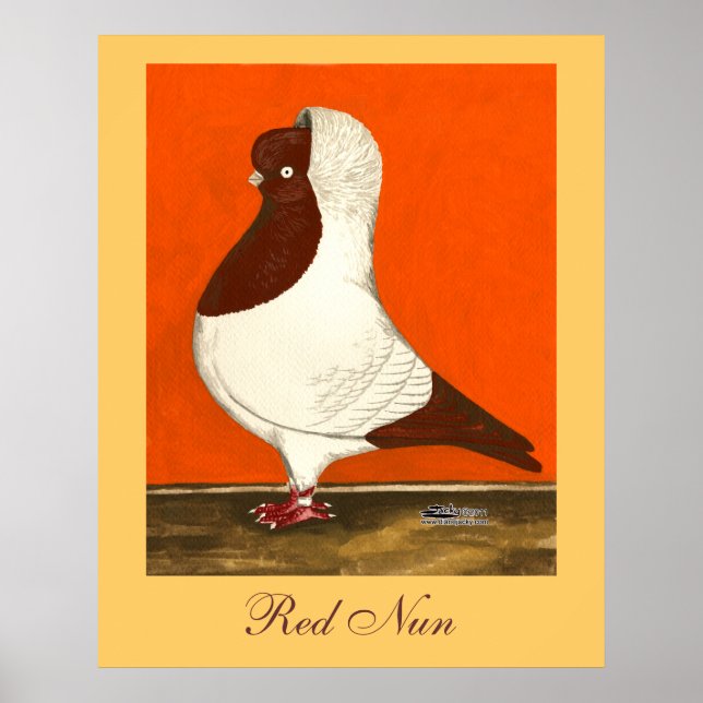 Red Nun Pigeon Poster (Vorne)
