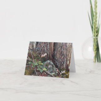 'Red Oak and Dutchman's Breeches' note card print Karte