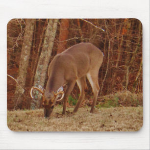 Red Oak Camouflage Stag Buck Deer Fütternd Mousepad
