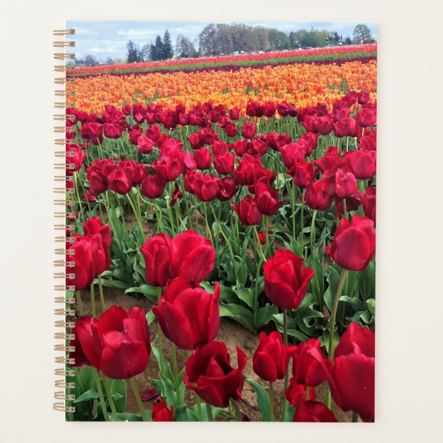 Red & Orange Tulip Field, Oregon Planer (Vorderseite)