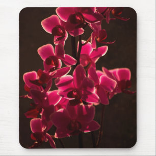 Red Orchid Blume Mousepad