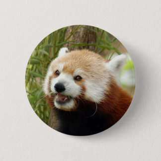 red-panda-033 button