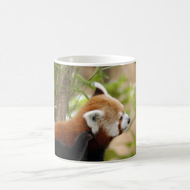 red-panda-035 verwandlungstasse (Mittel)
