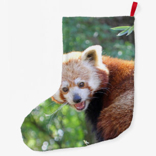 Red_Panda_2015_0306 Großer Weihnachtsstrumpf