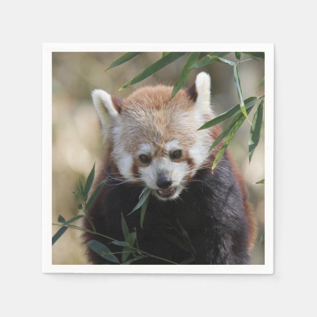 Red_Panda_2015_0311 Serviette (Vorderseite)