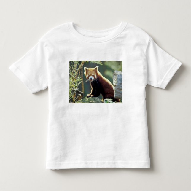 Red Panda Ailurus fulgens) Kleinkind T-shirt (Vorderseite)