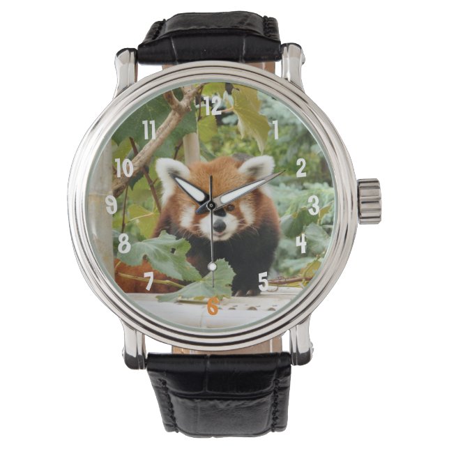 Red Panda Armbanduhr (Vorderseite)