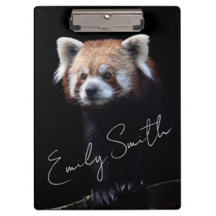 Red Panda Bear Klemmbrett