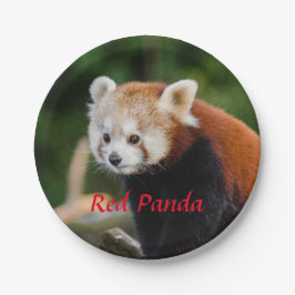Red Panda Bear Pappteller
